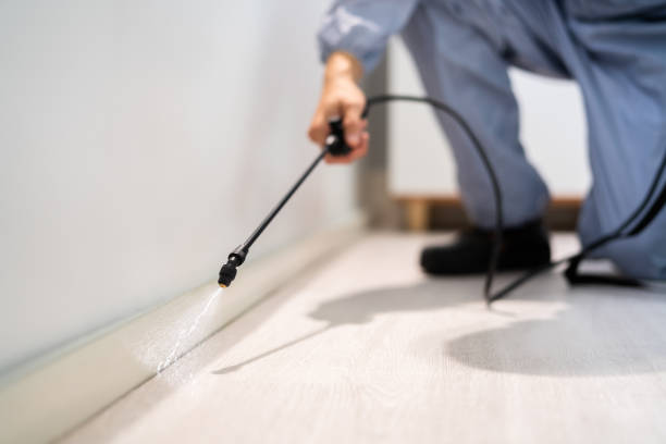 Licensed Pest Control service in Rockville, MD - Show Me Pest Control