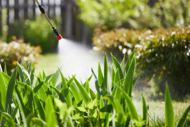 24/7 Emergency Wasp Removal experts in Rockville, MD