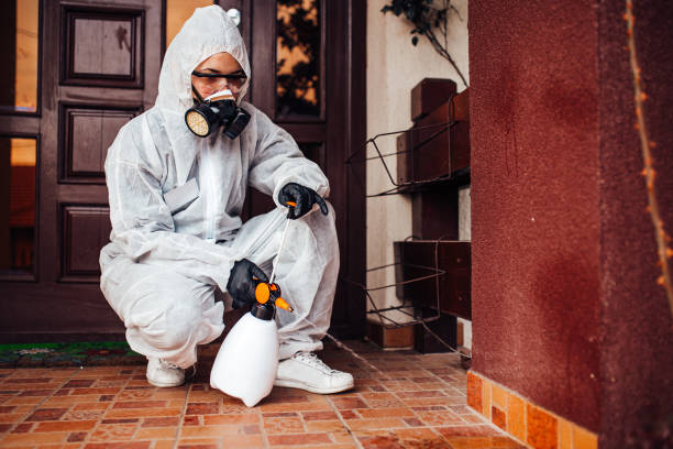 Reliable Wasp Removal contractor in Rockville, MD by Show Me Pest Control